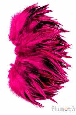 Haan - 10-15 cm -  fuchsia